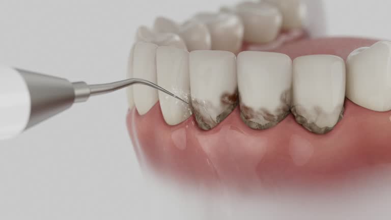 Reliable Dental contractor in Liberty County County, MT by Dentist Open Now